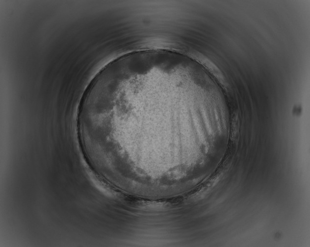 X0000101161039200807181354