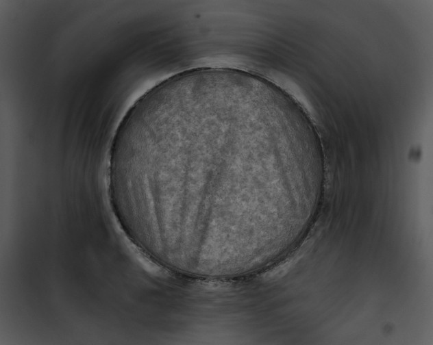 X0000101161040200807181354