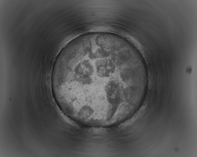 X0000101161041200807181354