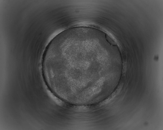 X0000101161042200807181354