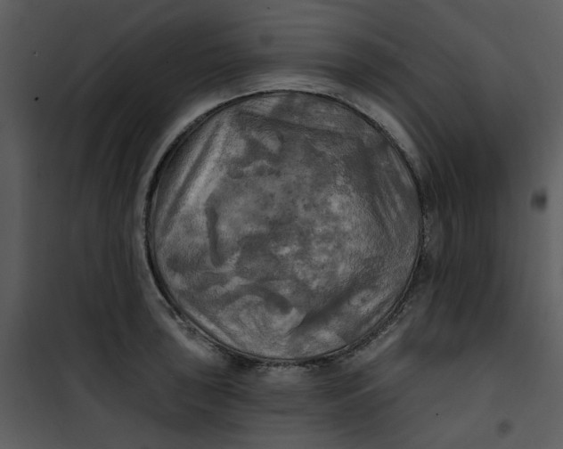 X0000101161043200807181354