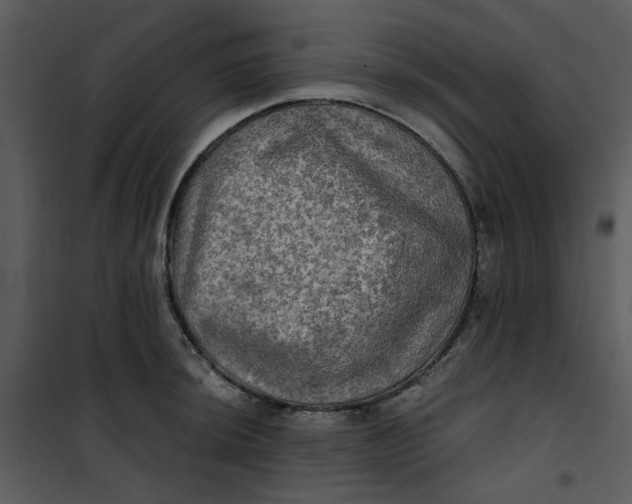 X0000101161044200807181354