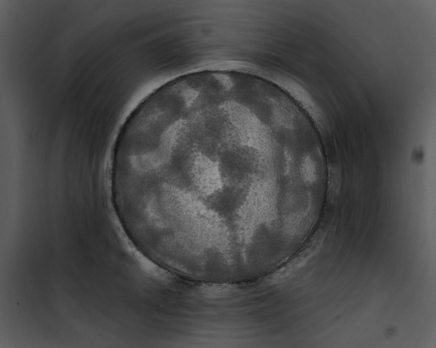 X0000101161046200807181354