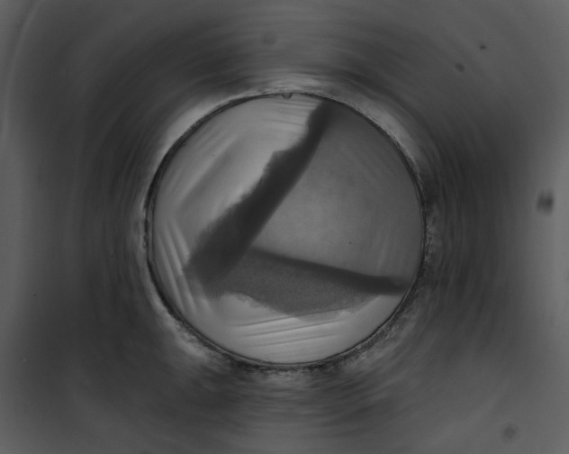 X0000101161047200807181354