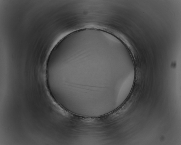 X0000101161048200807181354