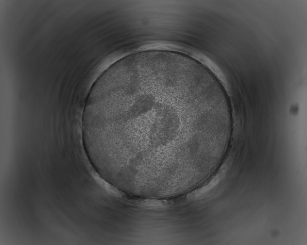 X0000101161049200807181354