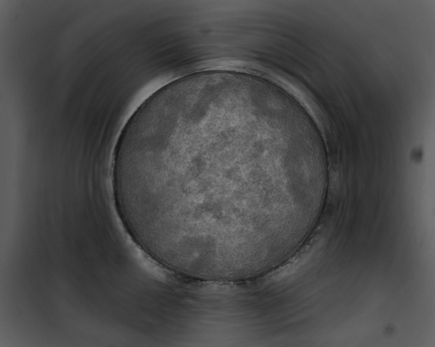 X0000101161050200807181354