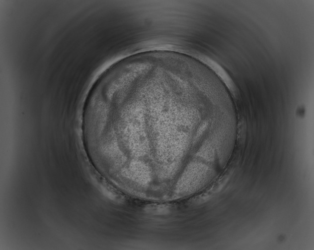 X0000101161051200807181354