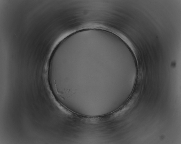 X0000101161053200807181354