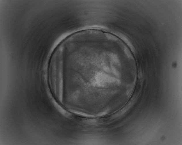 X0000101161054200807181354