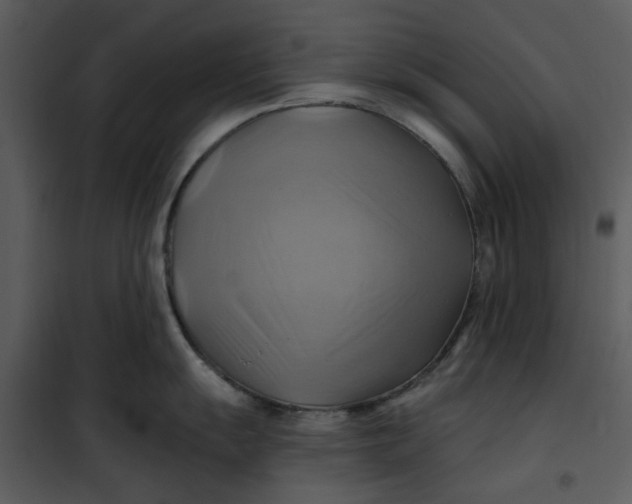 X0000101161055200807181354