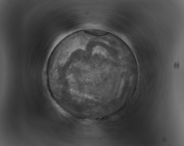 X0000101161056200807181354