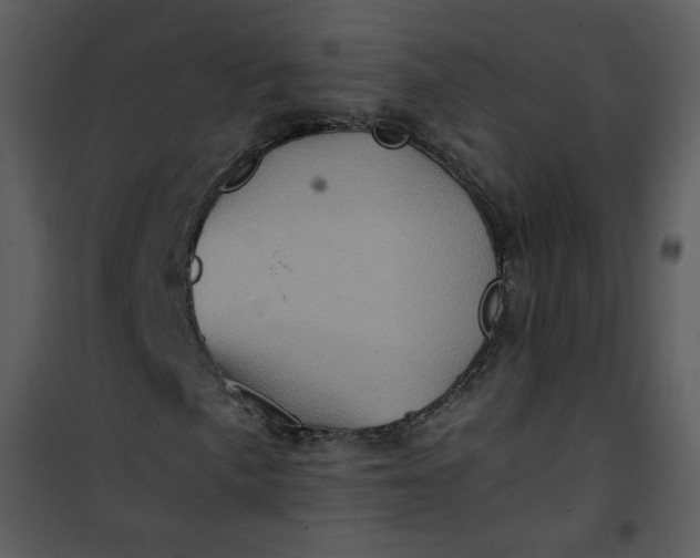 X0000101161057200807181353