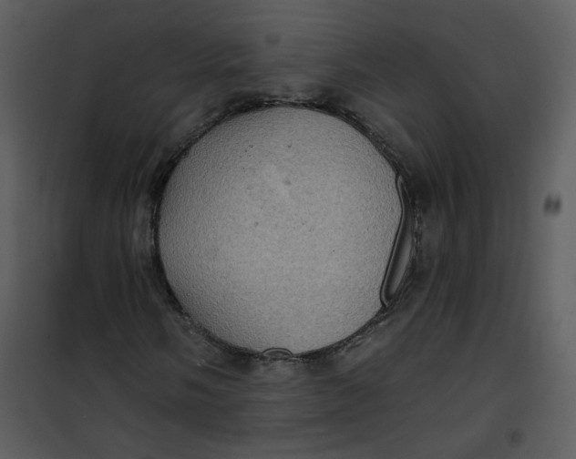 X0000101161058200807181353