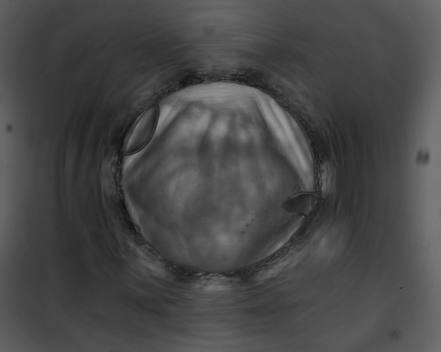 X0000101161059200807181353