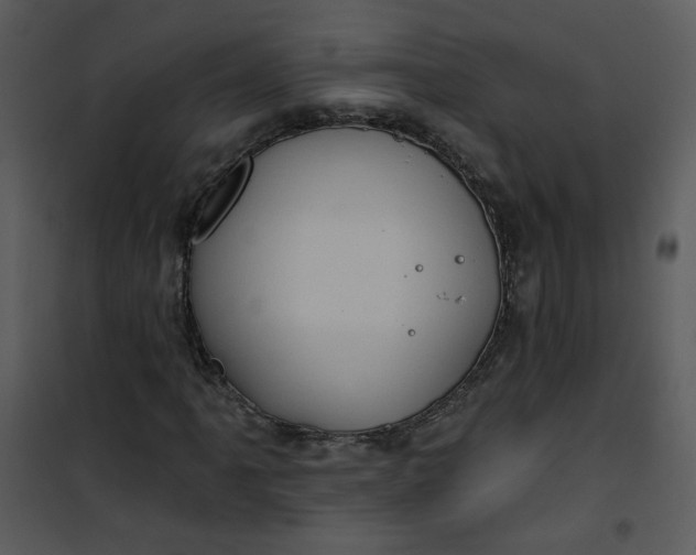 X0000101161061200807181353