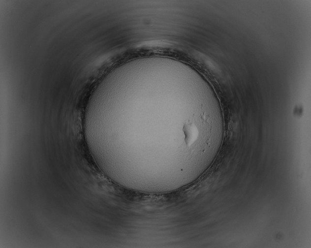 X0000101161062200807181353