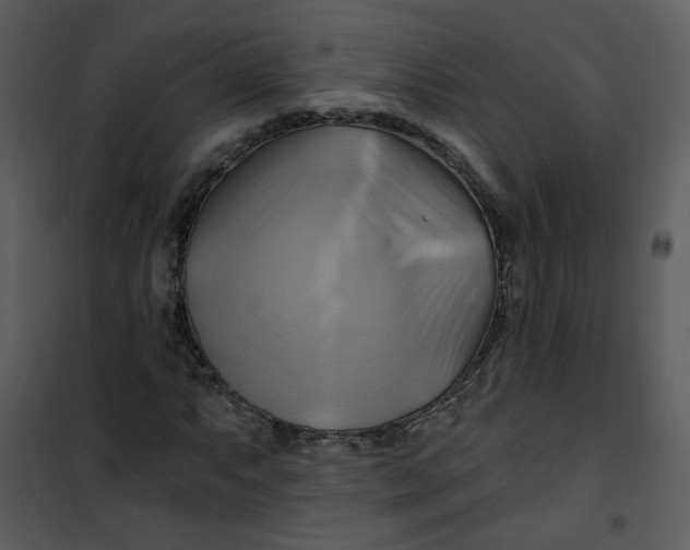 X0000101161063200807181353