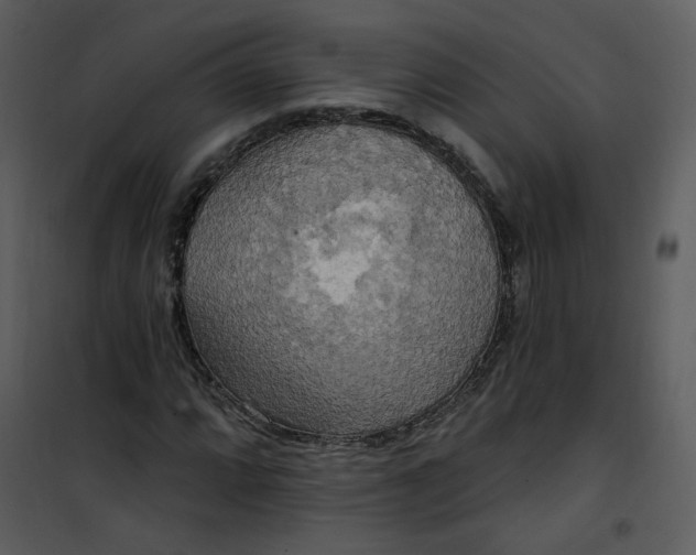 X0000101161064200807181353