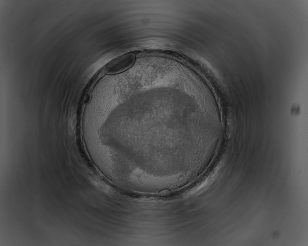 X0000101161065200807181353