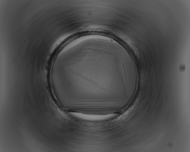 X0000101161066200807181353