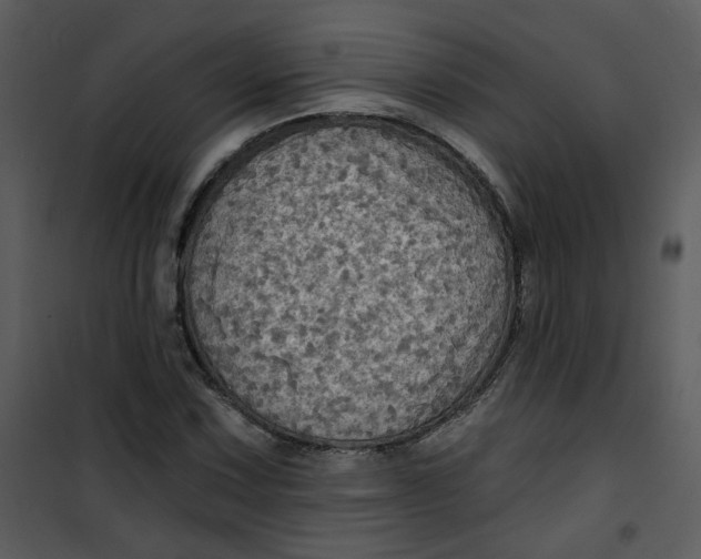 X0000101161067200807181353