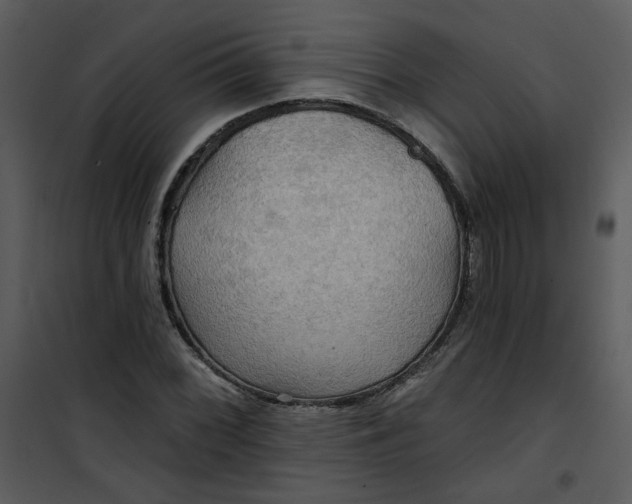 X0000101161068200807181353