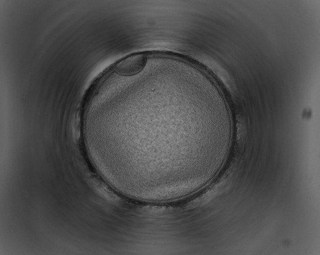 X0000101161069200807181353