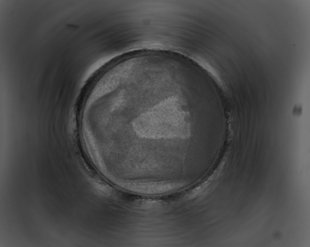 X0000101161070200807181353