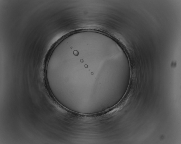 X0000101161071200807181353