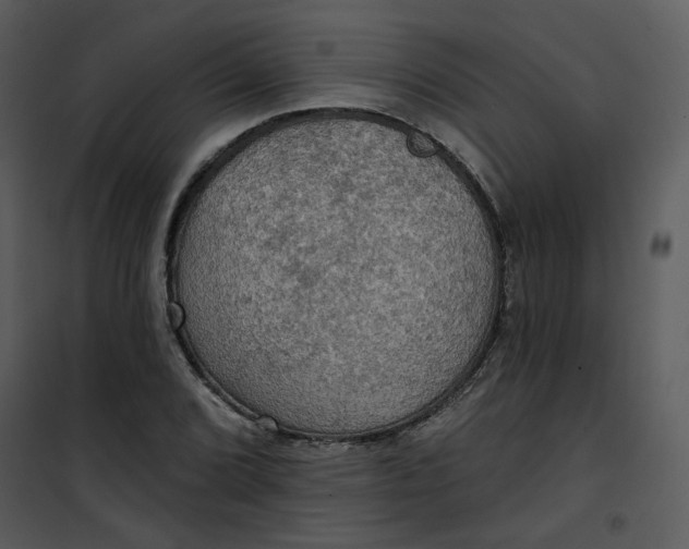 X0000101161072200807181353