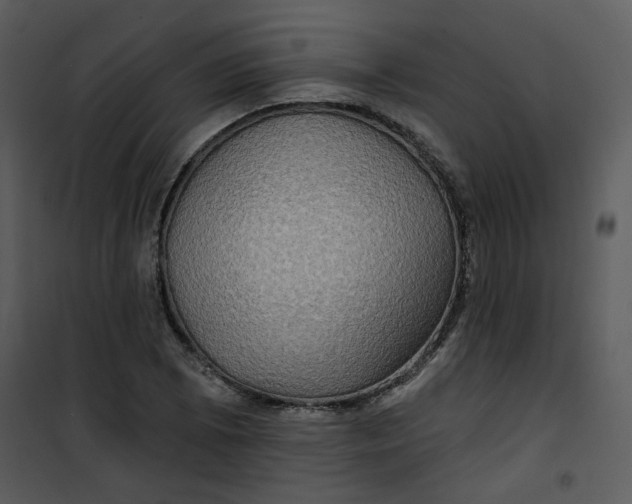 X0000101161073200807181353