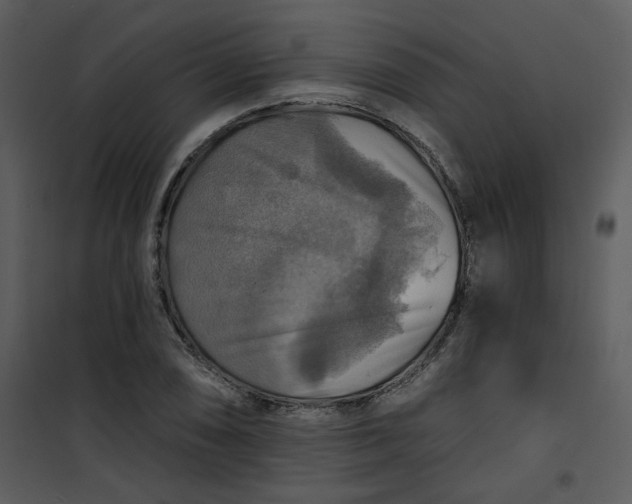 X0000101161074200807181353