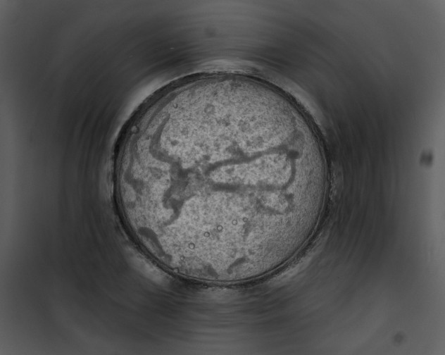 X0000101161075200807181353