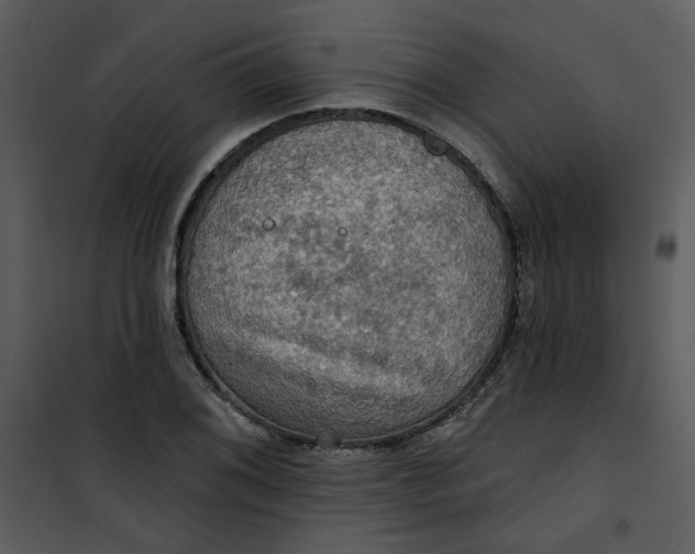 X0000101161076200807181353