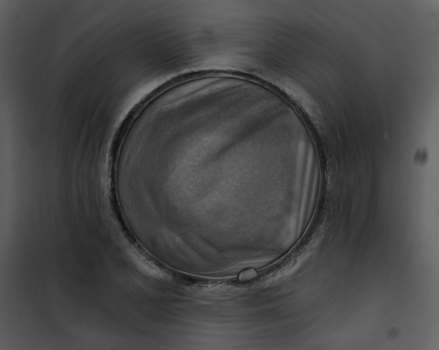 X0000101161077200807181353