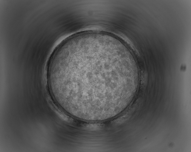 X0000101161078200807181353