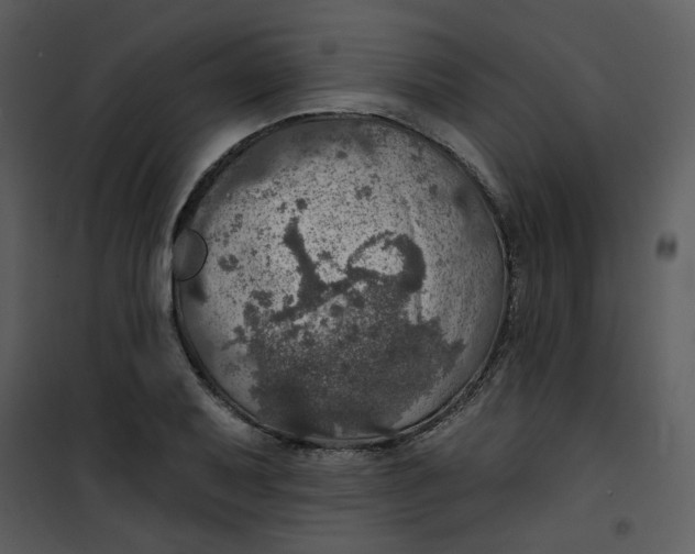 X0000101161079200807181353