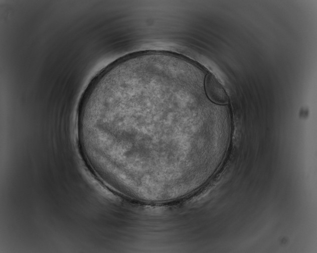 X0000101161080200807181353