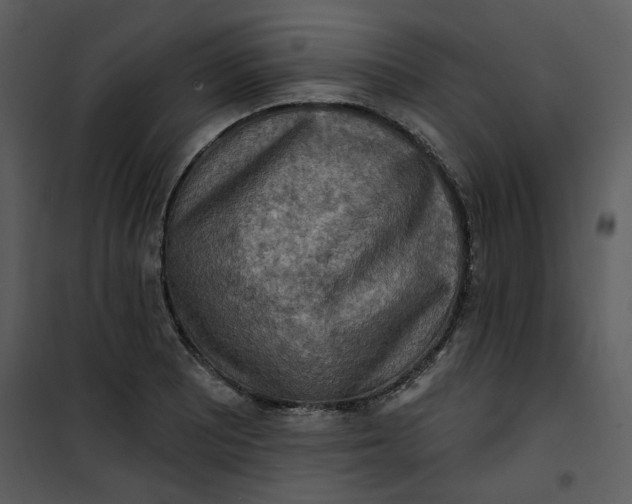 X0000101161081200807181353