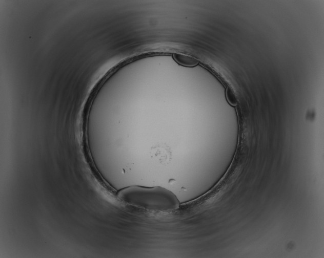 X0000101161082200807181353