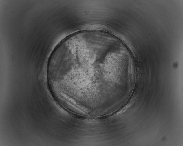 X0000101161083200807181353