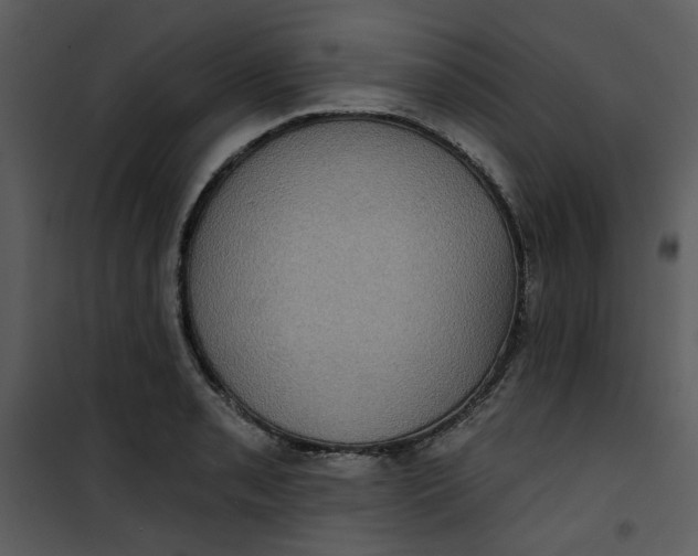 X0000101161085200807181353