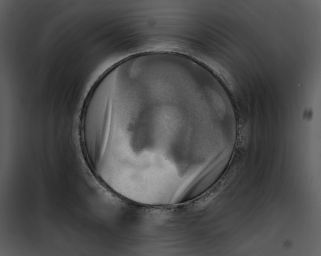 X0000101161086200807181353