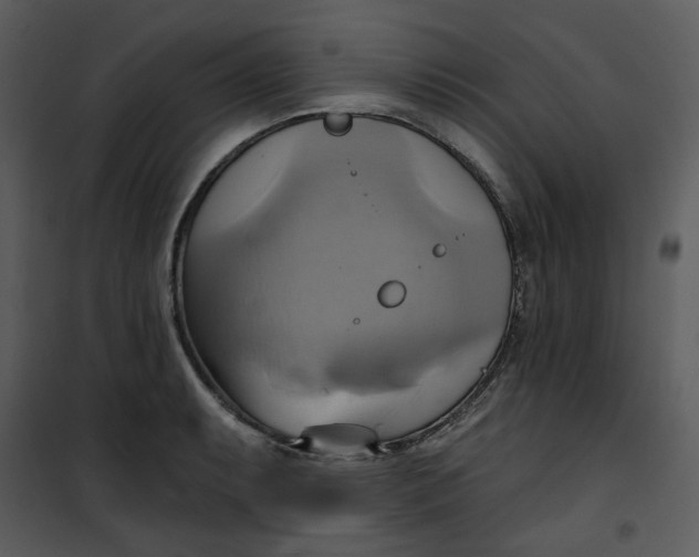 X0000101161087200807181353