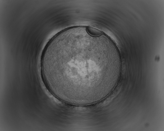 X0000101161088200807181353