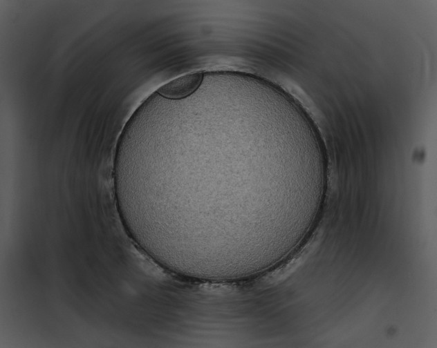 X0000101161089200807181353