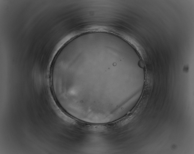 X0000101161090200807181353