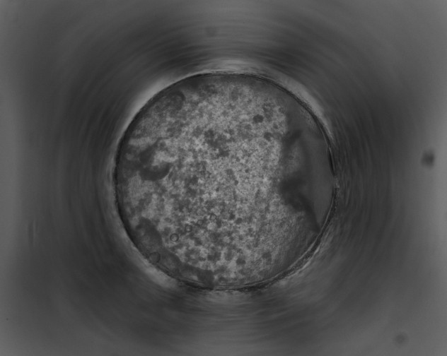 X0000101161091200807181353