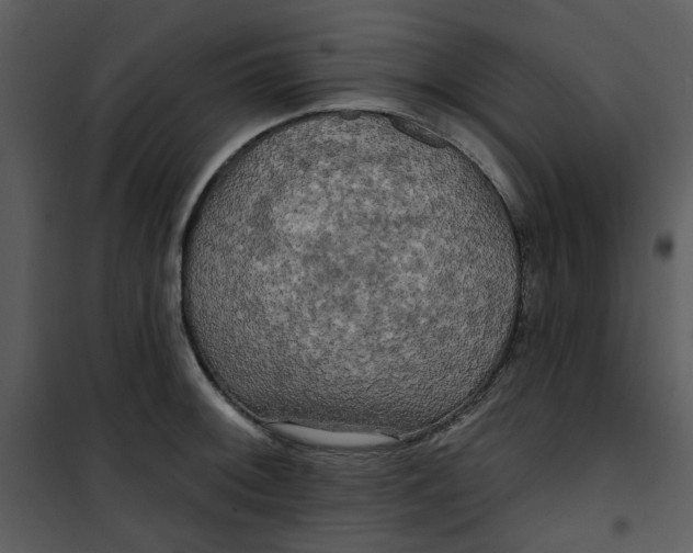 X0000101161092200807181353